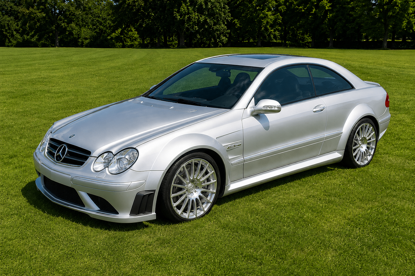 Silver Mercedes-Benz CLK 63 AMG Black Series on a manicured lawn with a line of trees behind, front three-quarter view showing the wide-arched bodywork, deep front bumper with large intakes, side sill extensions and multi-spoke AMG alloy wheels.