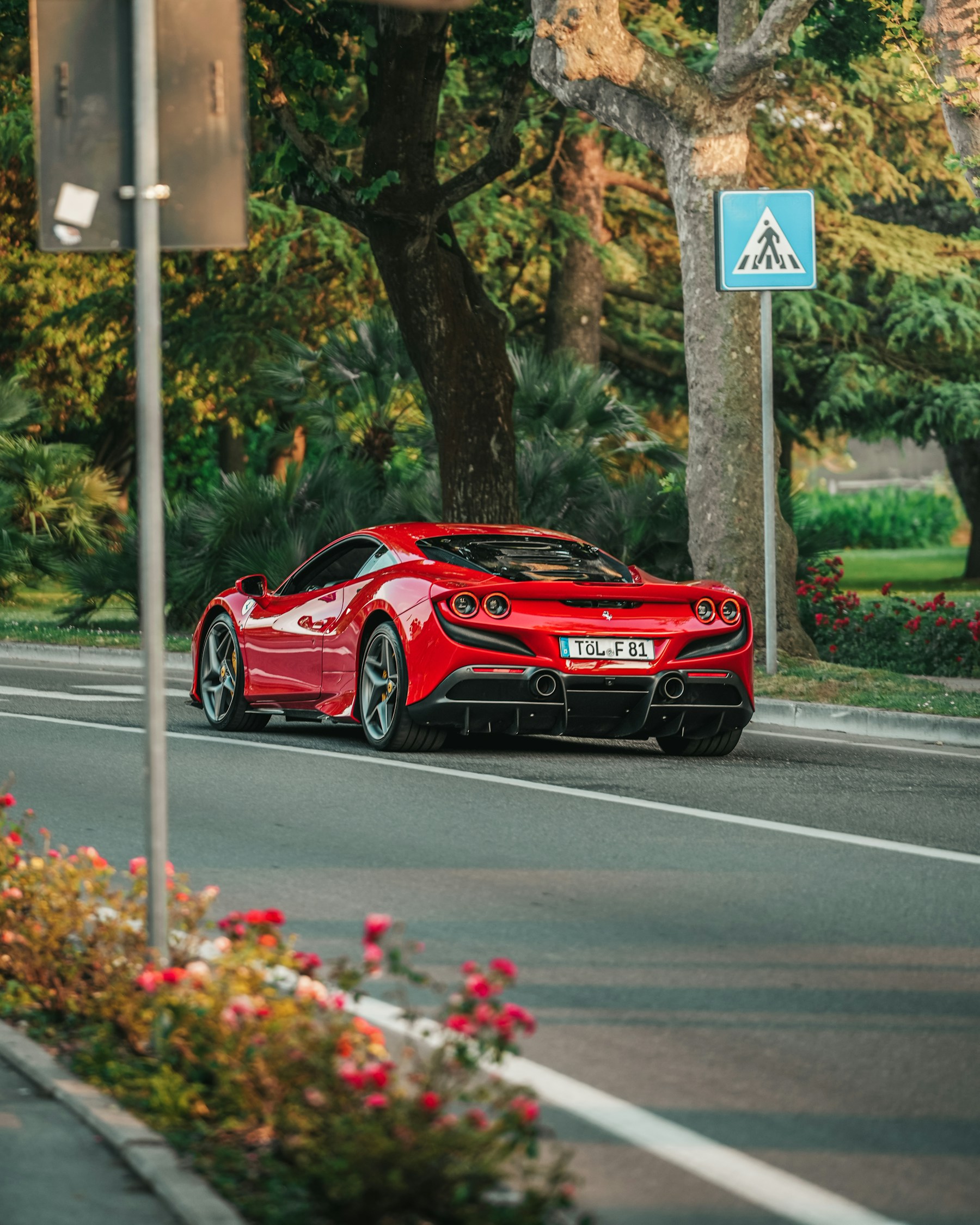 A classic British grand tourer on a Mediterranean coastal road in late afternoon light.